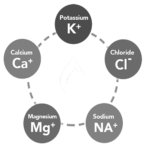 Electrolyte Disturbances / Metabolic disorders